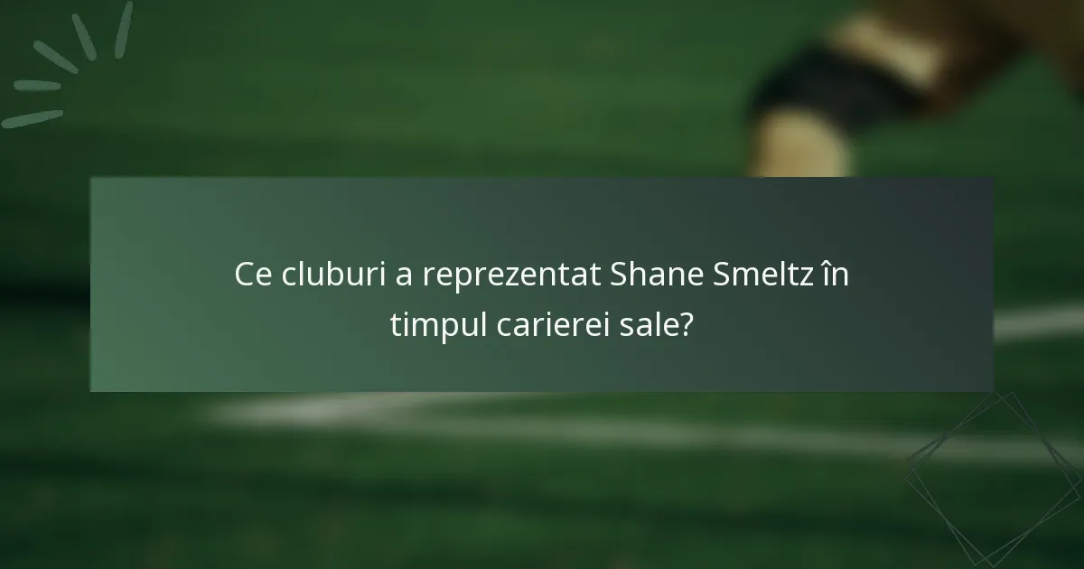 Ce cluburi a reprezentat Shane Smeltz în timpul carierei sale?
